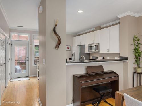 1009 Kingsbury St, Chicago IL 60610-3772 exterior