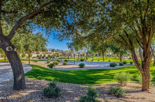 4429 Scorpio Pl, Chandler AZ 85249-5828 exterior