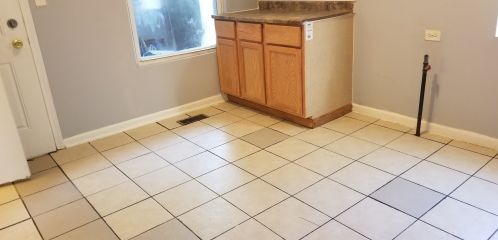 431 Avers Ave, Chicago IL 60629-4319 exterior