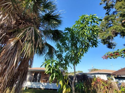 3410 Cordelia St, Tampa FL 33607-1914 exterior