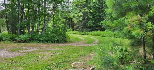 4466 Birch Frst Rd, Orr MN 55771-8247 exterior