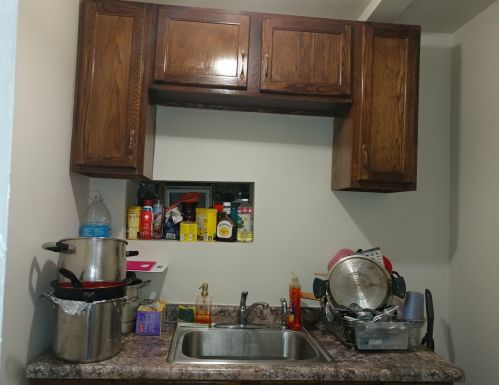 4801 Ada St, Chicago IL 60609-5919 exterior