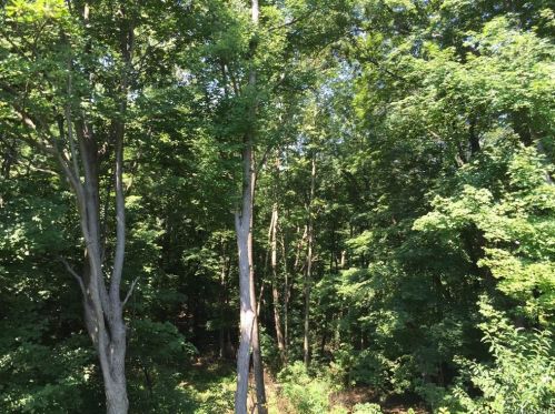 3 Hook Rd, Poughkeepsie NY 12601-1110 exterior