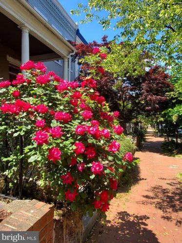 22 Randolph Pl, Washington DC  20001-1124 exterior