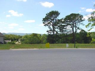 703 Doyle St, Salem, VA 24153-4020