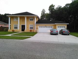 11029 Lynn Lake Cir, Tampa, FL 33625-5642