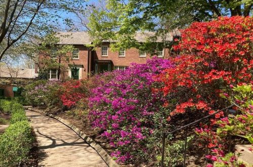 410 Olympia St, Pittsburgh, PA 15211