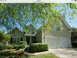 382 Clayton Dr, Charleston, SC 29414-5047