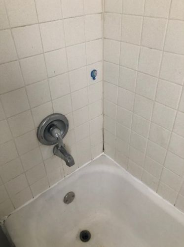 4844 18th St, Chicago IL  60804-2535 exterior