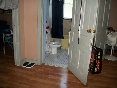 49 102nd Pl, Chicago IL  60628-2015 exterior