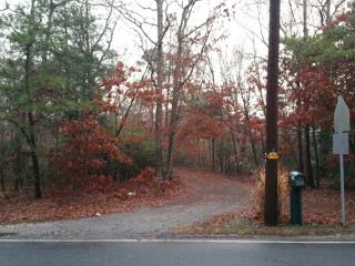 229 Fidler Rd, Belleplain, NJ 08270-8828