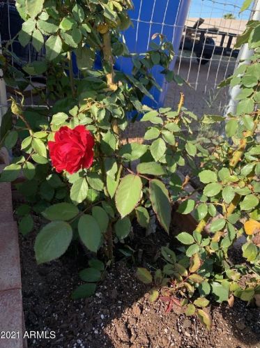 2620 Captain Dreyfus Ave, Phoenix AZ 85032-6706 exterior