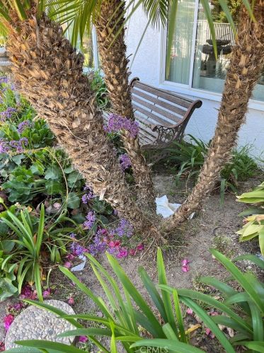 31440 Avenida Del Reposo, Temecula CA 92591-1723 exterior