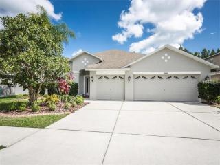 10441 Meadow Spring Dr, Tampa, FL 33647-3264