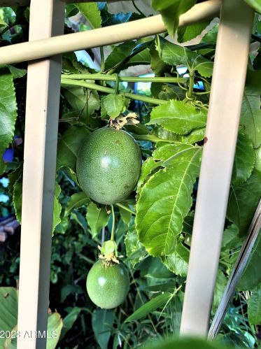 13046 37 Ave, Phoenix AZ 85053-7610 exterior