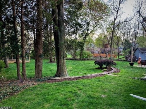 115 Salter St, Springfield NJ 07081-1630 exterior