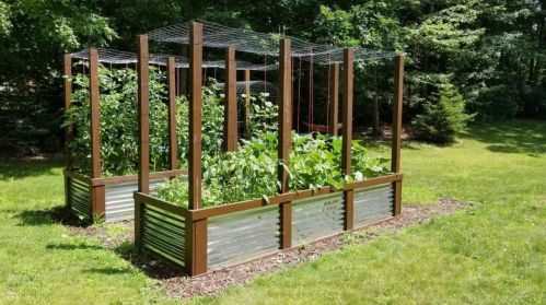 3040 Root Ct, Cedar Springs MI 49319-8153 exterior