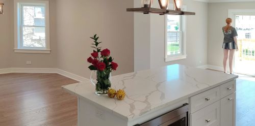 3003 Neva Ave, Chicago IL  60634-4721 exterior