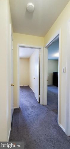 905 1st St, Rockville MD 20850-1444 exterior