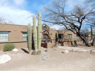 11361 Holster Dr, Tucson, AZ 85749-9515