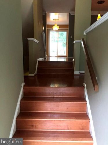 14206 Catamount Ct, Silver Spring MD  20906-2008 exterior