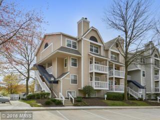 10821 Hampton Mill Ter, Rockville MD  20852-5466 exterior