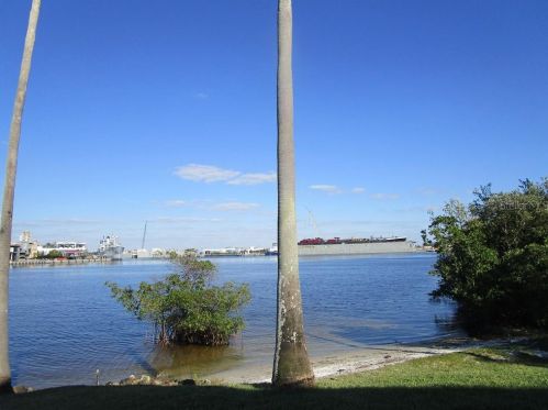 629 Arbor Lake Ln, Tampa FL 33602-5761 exterior