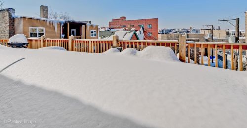 3910 Wolcott Ave, Chicago IL  60613-2441 exterior