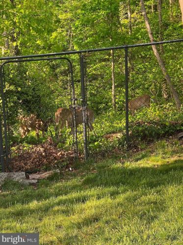 1228 Morningside Ln, Alexandria VA 22308-1042 exterior