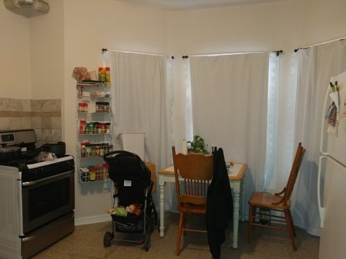 4801 Ada St, Chicago IL 60609-5919 exterior