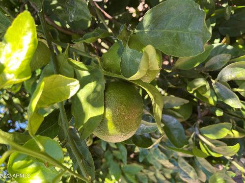 1620 Acoma Dr, Phoenix AZ 85032-5226 exterior