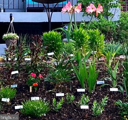 226 S St, Washington DC  20002-1526 exterior