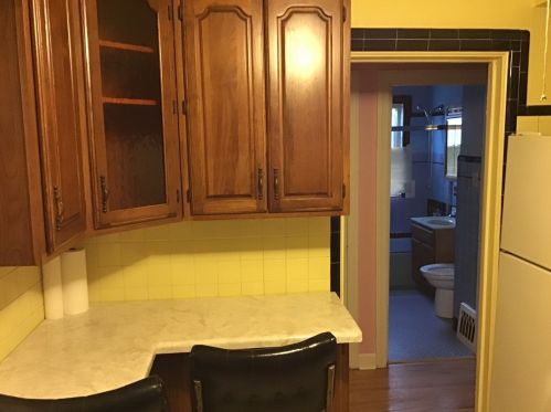 10318 Eberhart Ave, Chicago IL 60637-2484 exterior