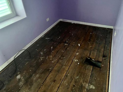 736 47 Pl, Chicago IL 60632-1441 exterior