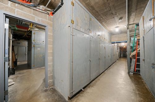 850 Dewitt Pl, Chicago IL  60611-2361 exterior