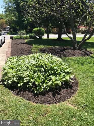 1815 Sherwood Rd, Silver Spring MD 20902-4030 exterior