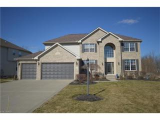 4195 Morley Dr, Aurora, OH 44202-8168