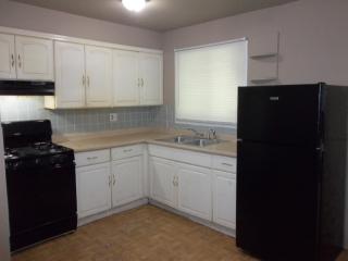 1216 Congress Ave, Saint Louis MO  63138-2907 exterior