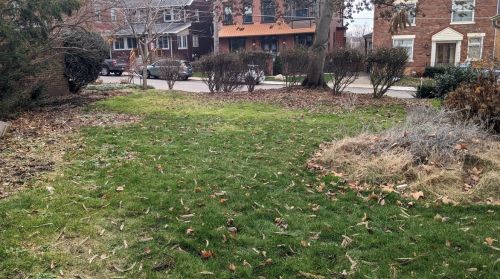 904 Farragut St, Pittsburgh PA  15206-2204 exterior