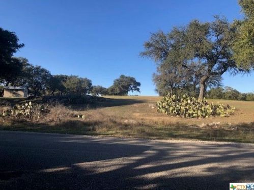 376 Fawn Dr, Spring Branch TX 78070-4704 exterior