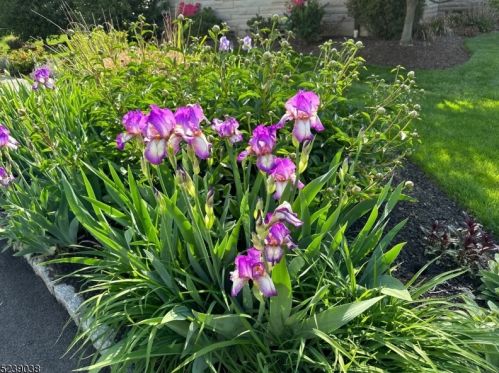 1019 Smt Ave, Westfield NJ 07090-3221 exterior