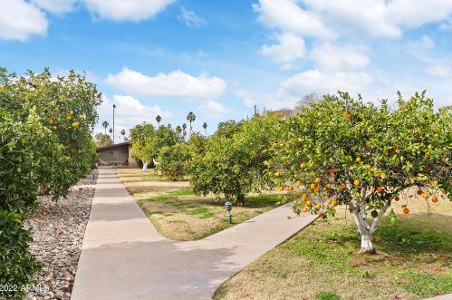 4203 36th St, Phoenix AZ  85018-4756 exterior