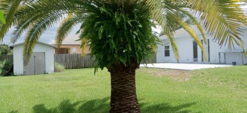 1951 Gemini Ln, Fort Pierce, FL 34984-4447