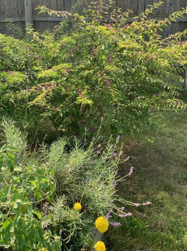 6922 Lovers Ln, Kalamazoo MI 49002-4427 exterior