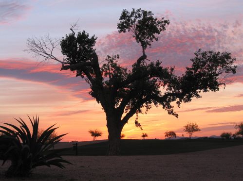 3640 Gleneagle Pl, Chandler AZ 85249-9443 exterior