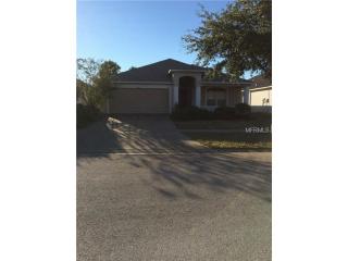 8553 Canterbury Lake Blvd, Tampa FL  33619-6674 exterior