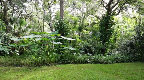 525 San Sebastian Prado, Altamonte Springs FL 32714-2236 exterior