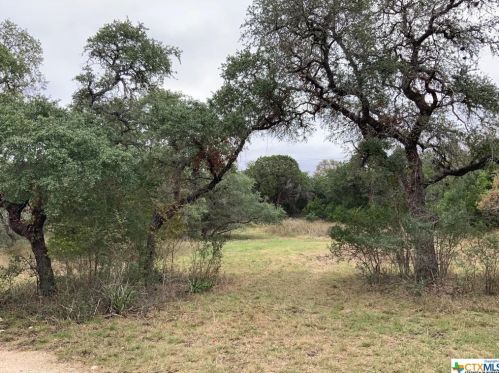 1000 Cherry Creek Blvd, Spring Branch, TX 78070-6389