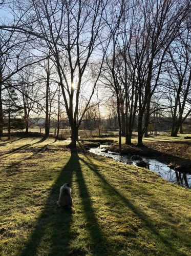 347 Lauer Rd, Poughkeepsie NY 12603-3942 exterior