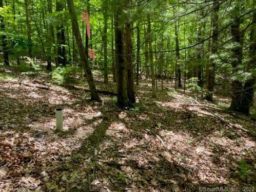 244 St, Roxbury CT 06783-1014 exterior